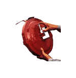 Neapolitan Automobile Anti-theft Device